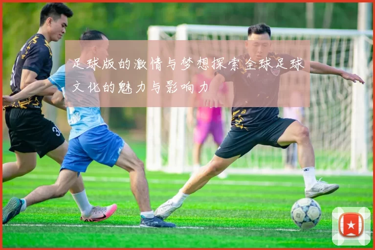 足球版的激情与梦想探索全球足球文化的魅力与影响力