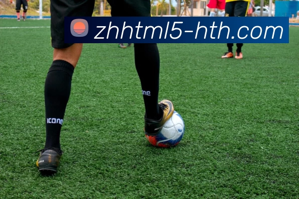 多媒体互动体验